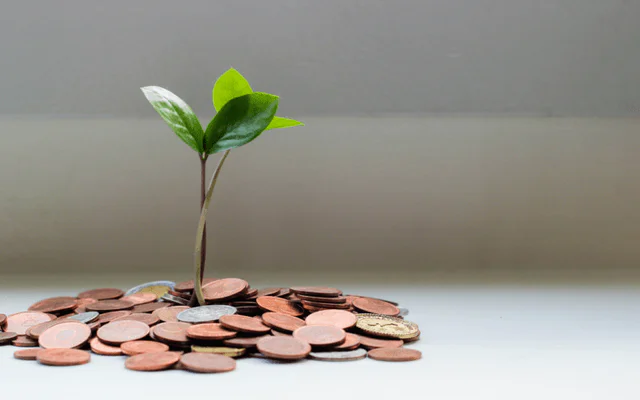 Director Salary, Fee or Dividends: How to Pay Yourself from a Sdn Bhd